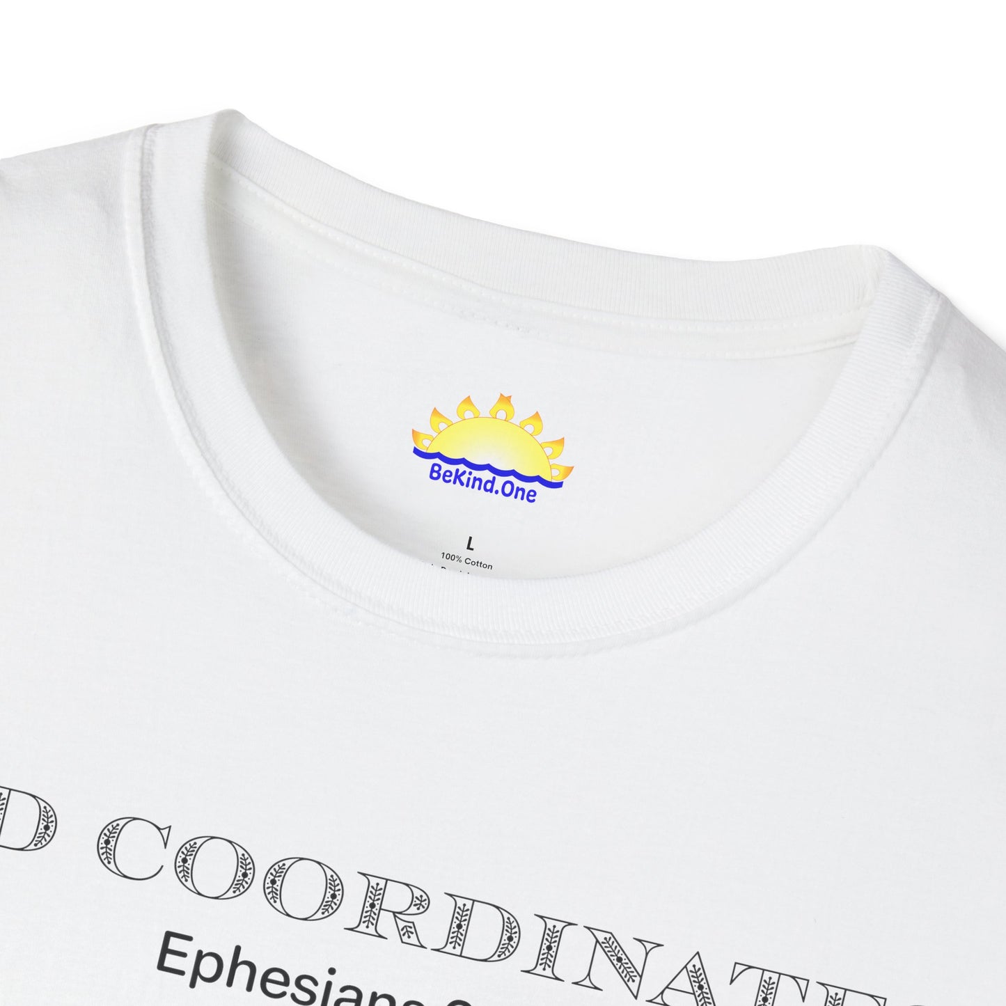 Ephesians 6:11 - God Coordinates - Unisex Softstyle T-Shirt