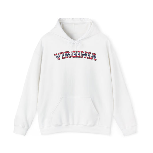 Virginia - Unisex Heavy Blend™ Hooded Sweatshirt